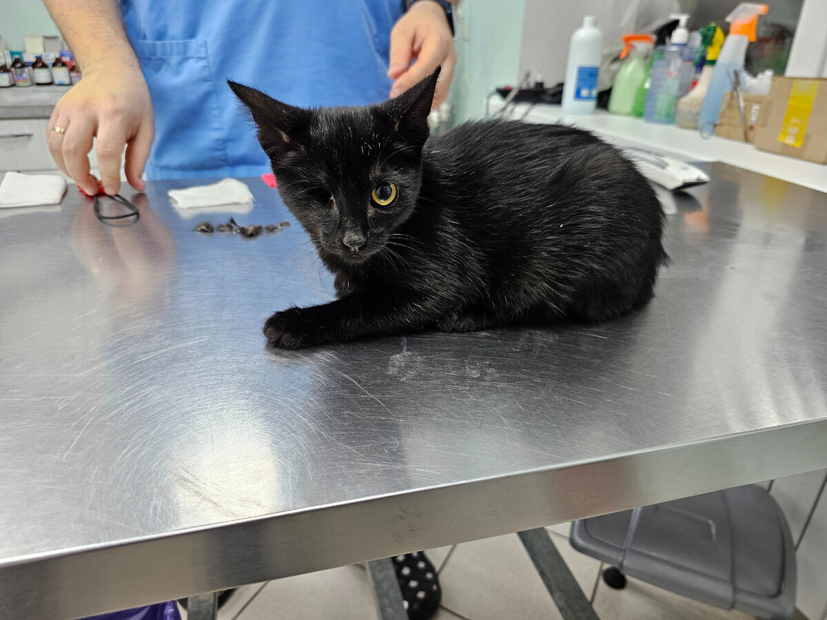 Фото автора. Малышка.