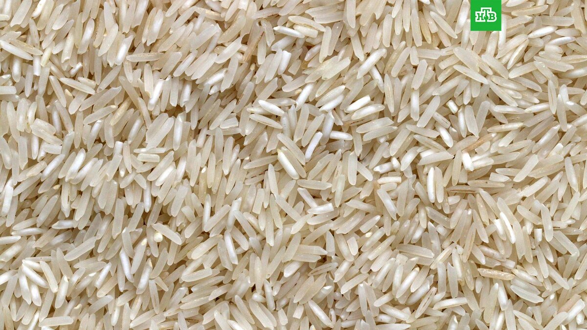    Фото: Pierre Bamin / unsplash.com