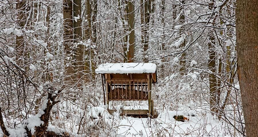 Для биотехнических сооружений необходимо выбирать постоянные места, к которым животные со временем привыкают, активно посещая их