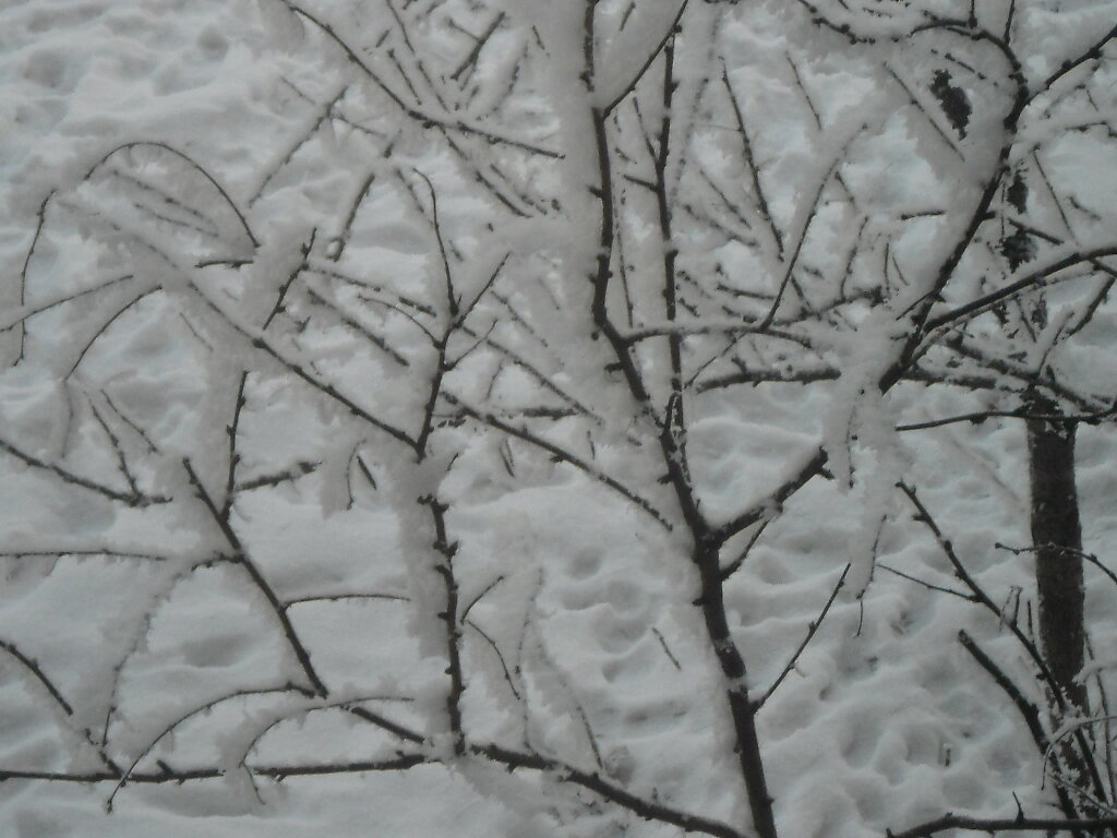 Снежные мотивы (фото автора)