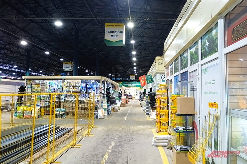    Фото:  АиФ/ Сергей Дружинин