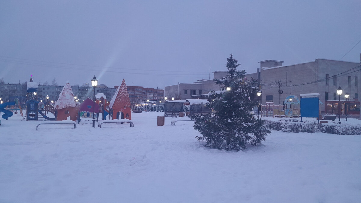 Фото Ирины Одарчук Паули Встречает город Новый год