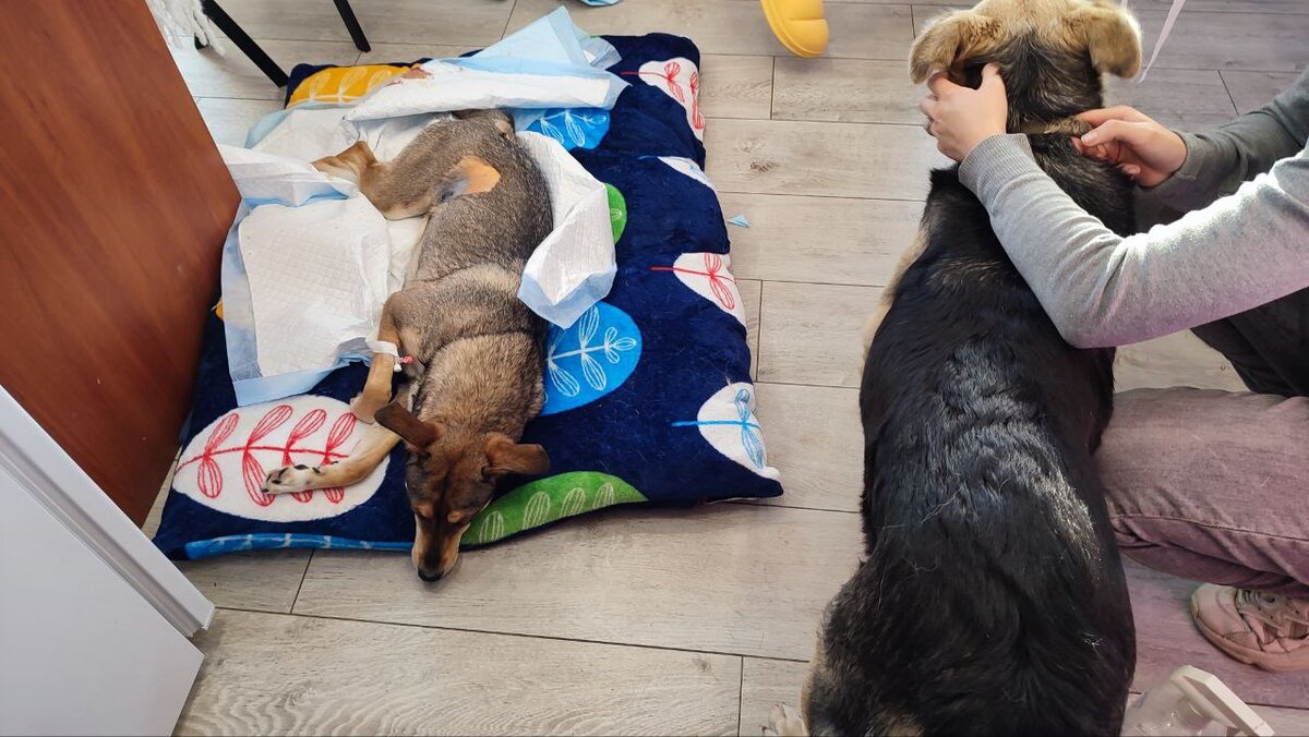 Сбор металлолома