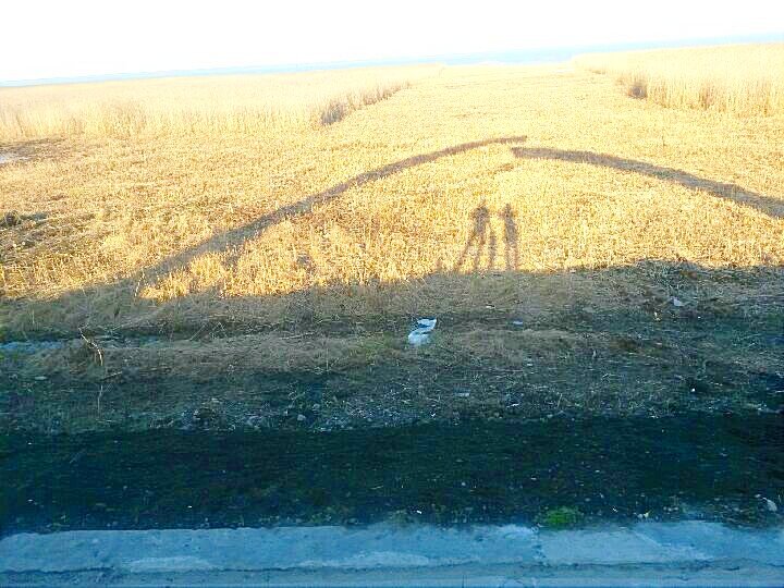 Пойди узнай, что там вдали. Подойдем поближе, увидим. 