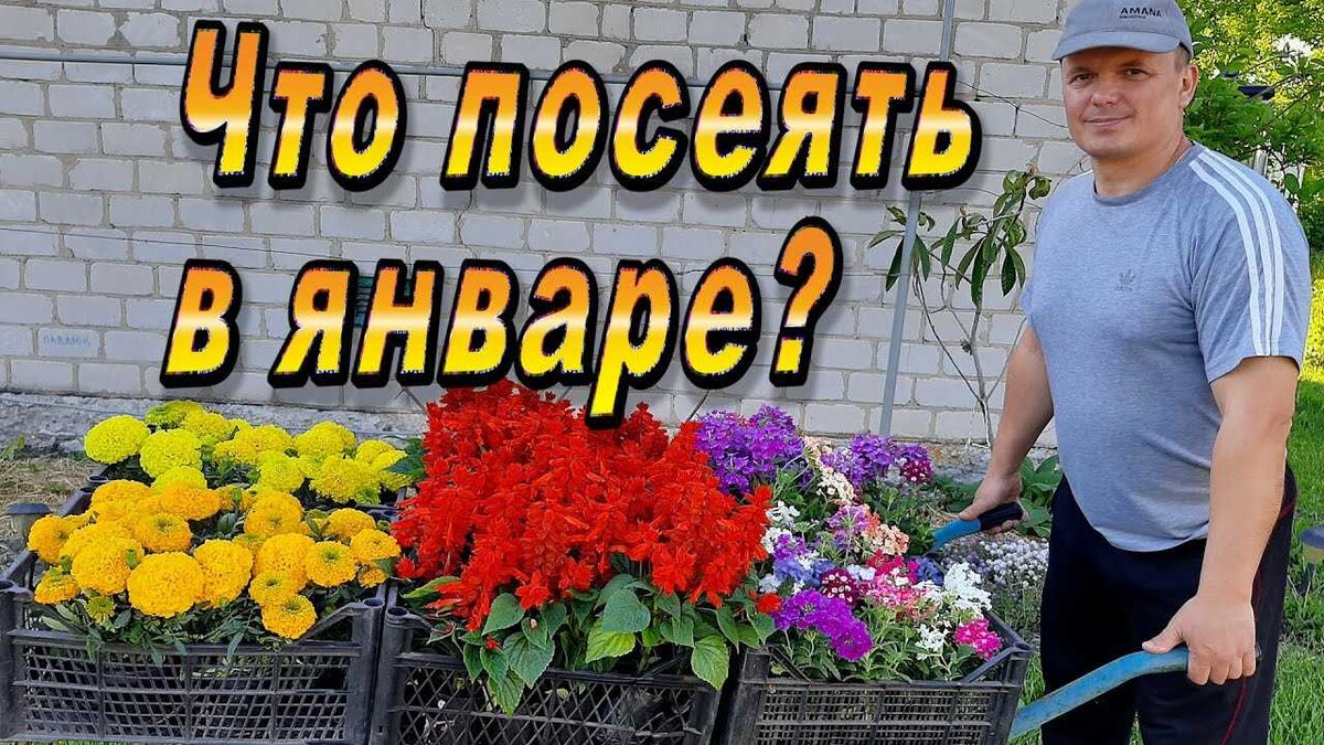 Указанные сроки являются