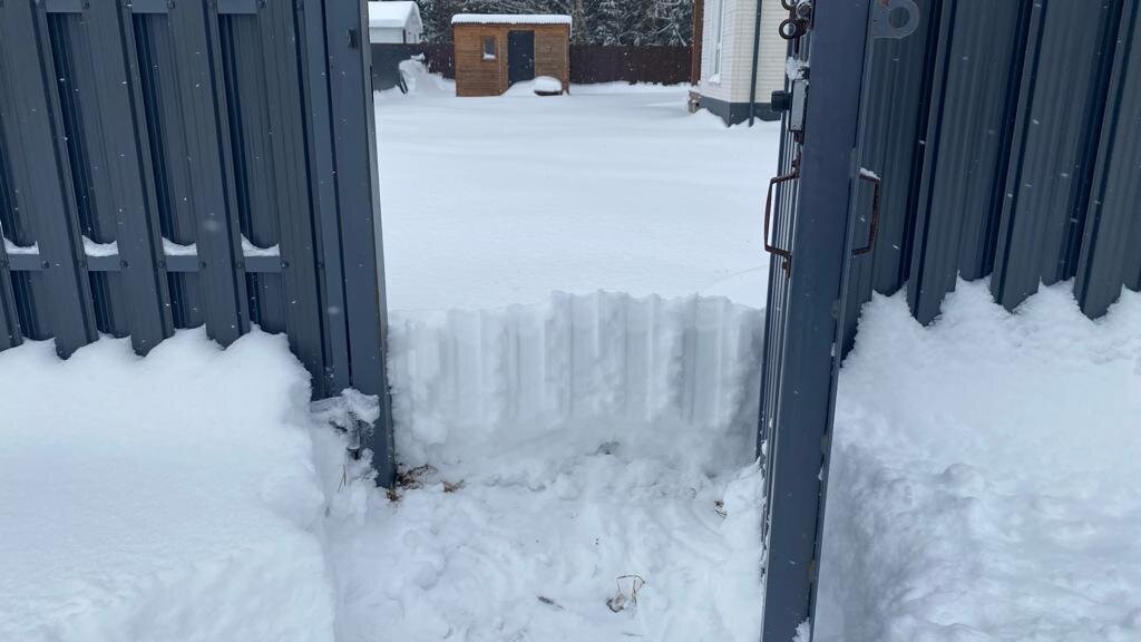 Когда очистила подход к калитке, открыла её, а там...