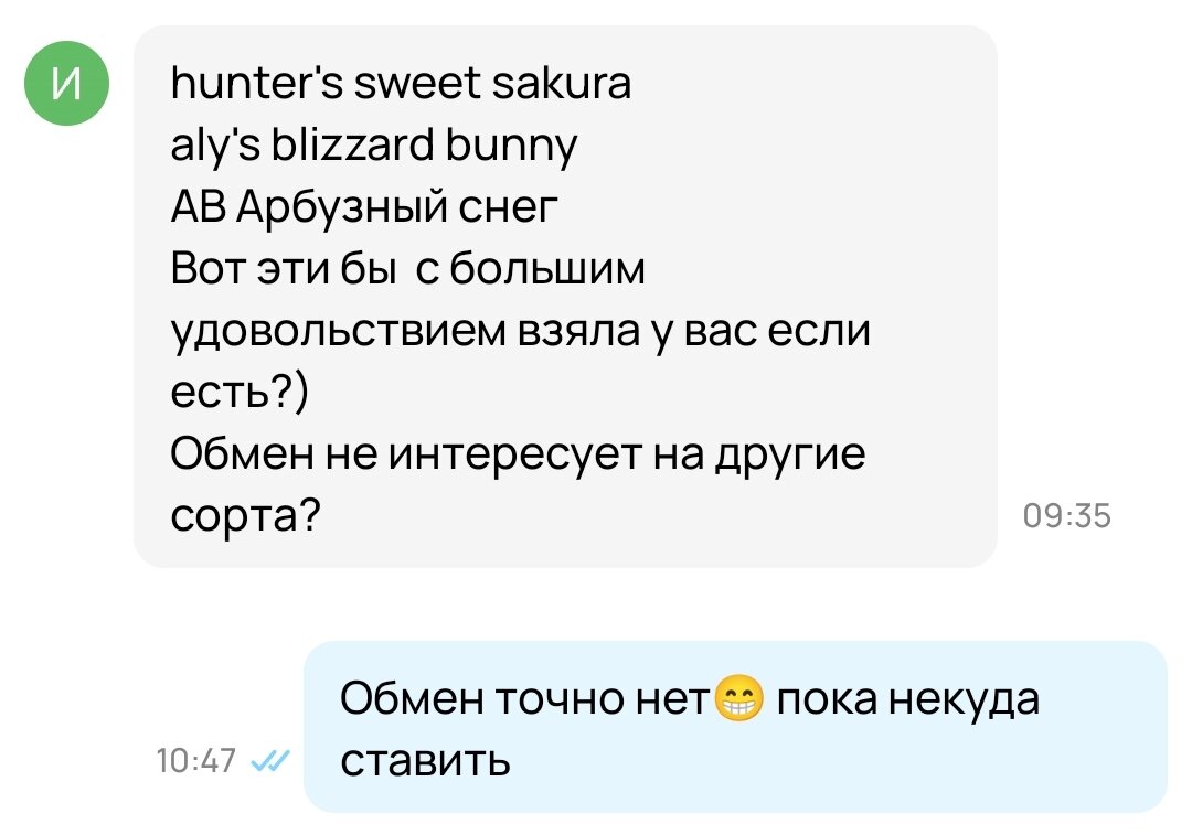 Авито снова удивляет! Вроде продавала фиалки, а их стало ещё больше) |  🌱Мамин зелёный уголок🌱 | Дзен