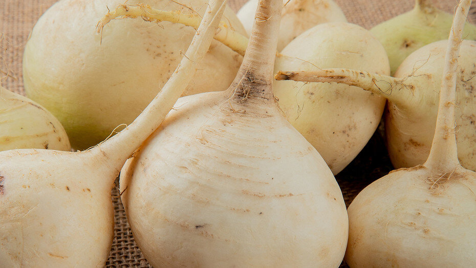     Источник здесь и далее: freepek.com