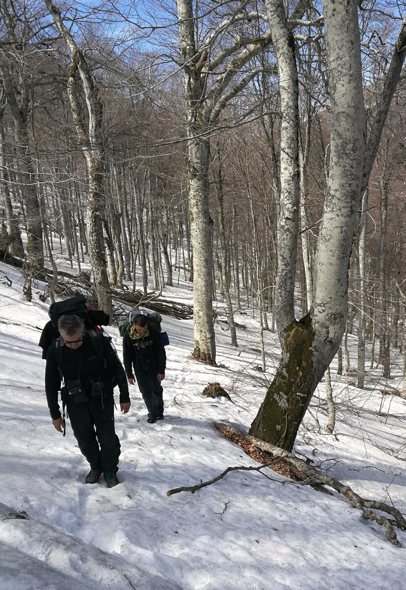 Мы рубим ступени, ни шагу назад...