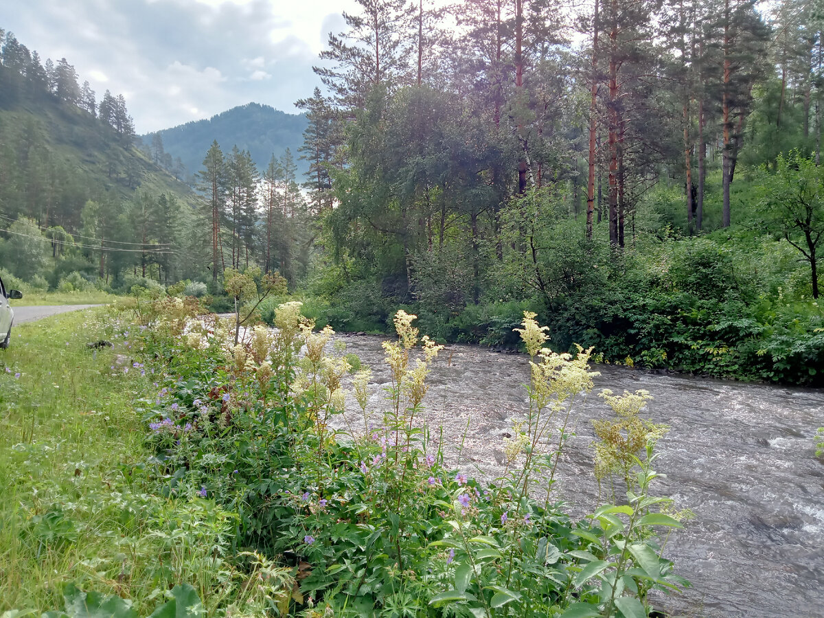 Горный Алтай лето 2023