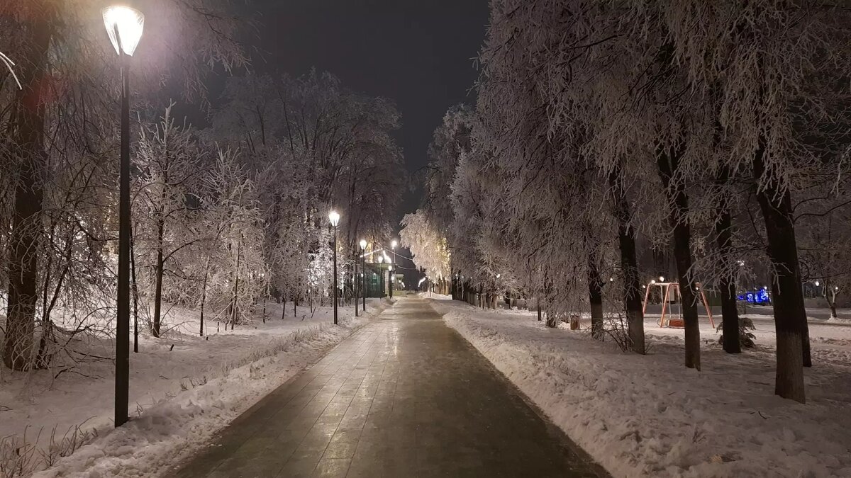     В Нижнем Новгороде существует более 10 крупных парков, но далеко не все из них муниципальные. Кто же занимается общественными пространствами в городе, разбирался корреспондент NewsNN.