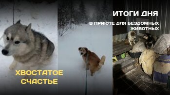 Волчок / slep-kostroma.ru