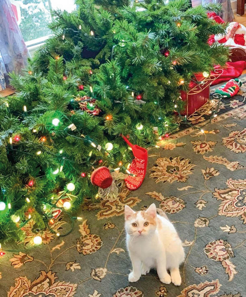 Фото: 2-kartinki.ru