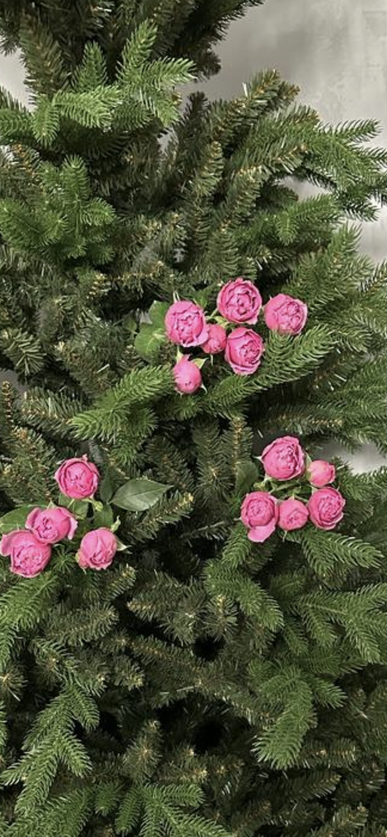 Фото автора. С наступающим! 