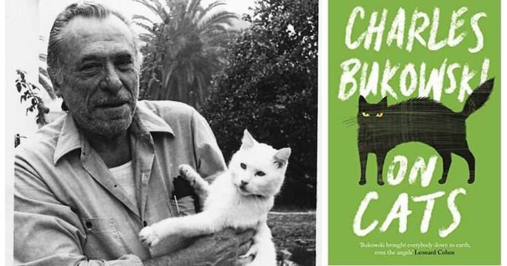 Буковски, Принц и книжка о котявинах