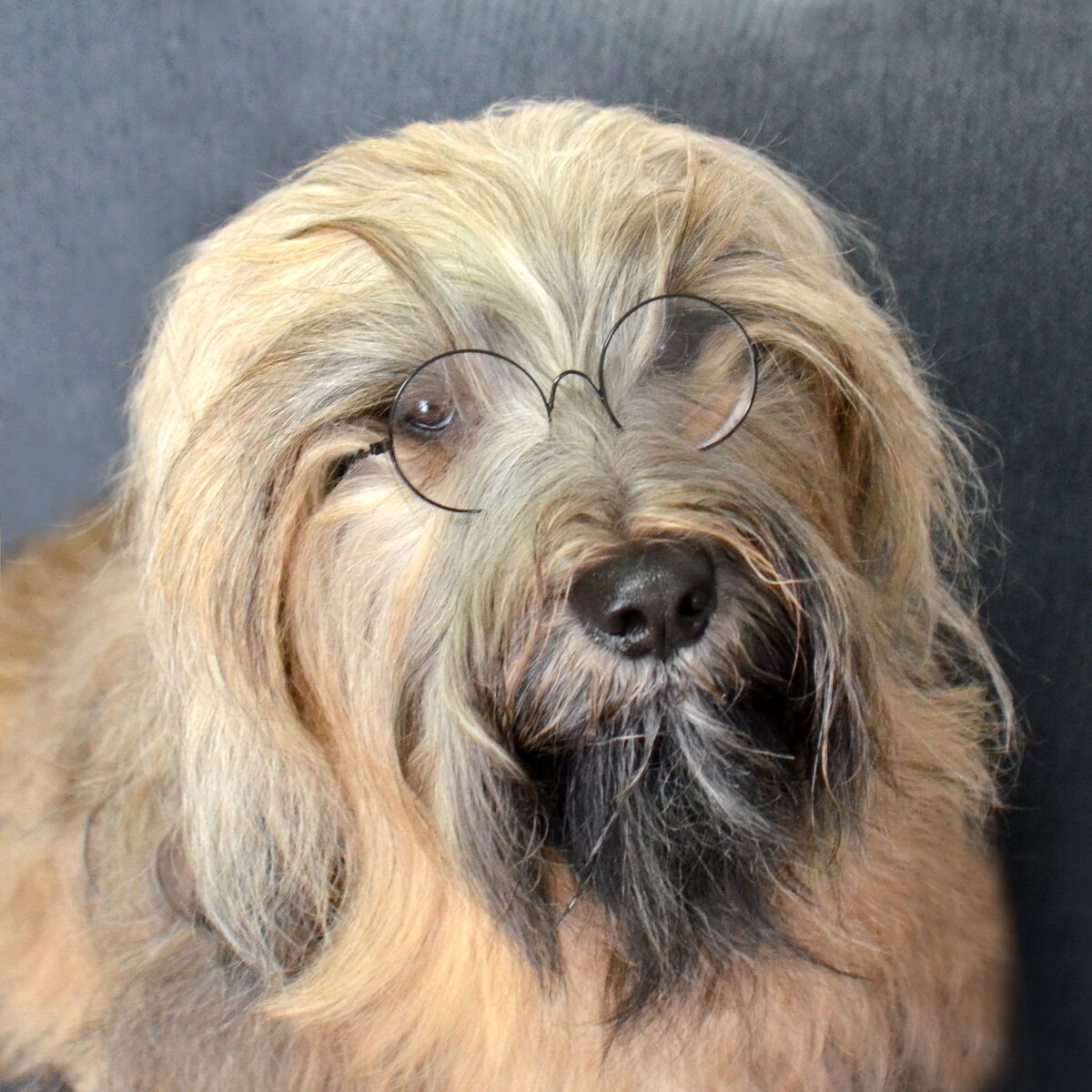 Моя аватарка крупным планом, чтобы мои читатели узнали мой канал, несмотря на новое название. Фото из личного архива