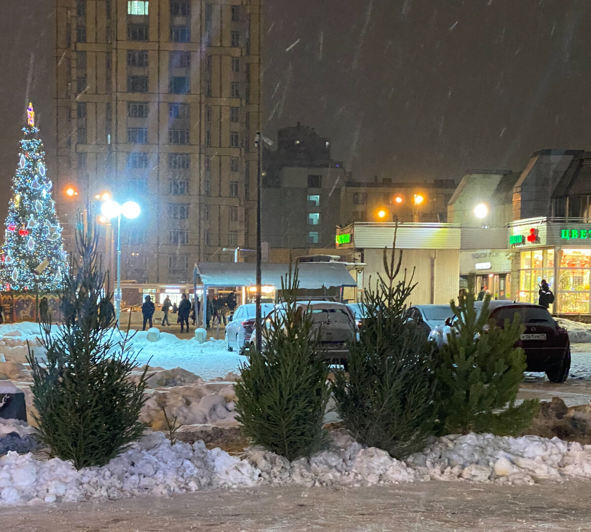 Фото автора. Предновогодняя Гражданка.