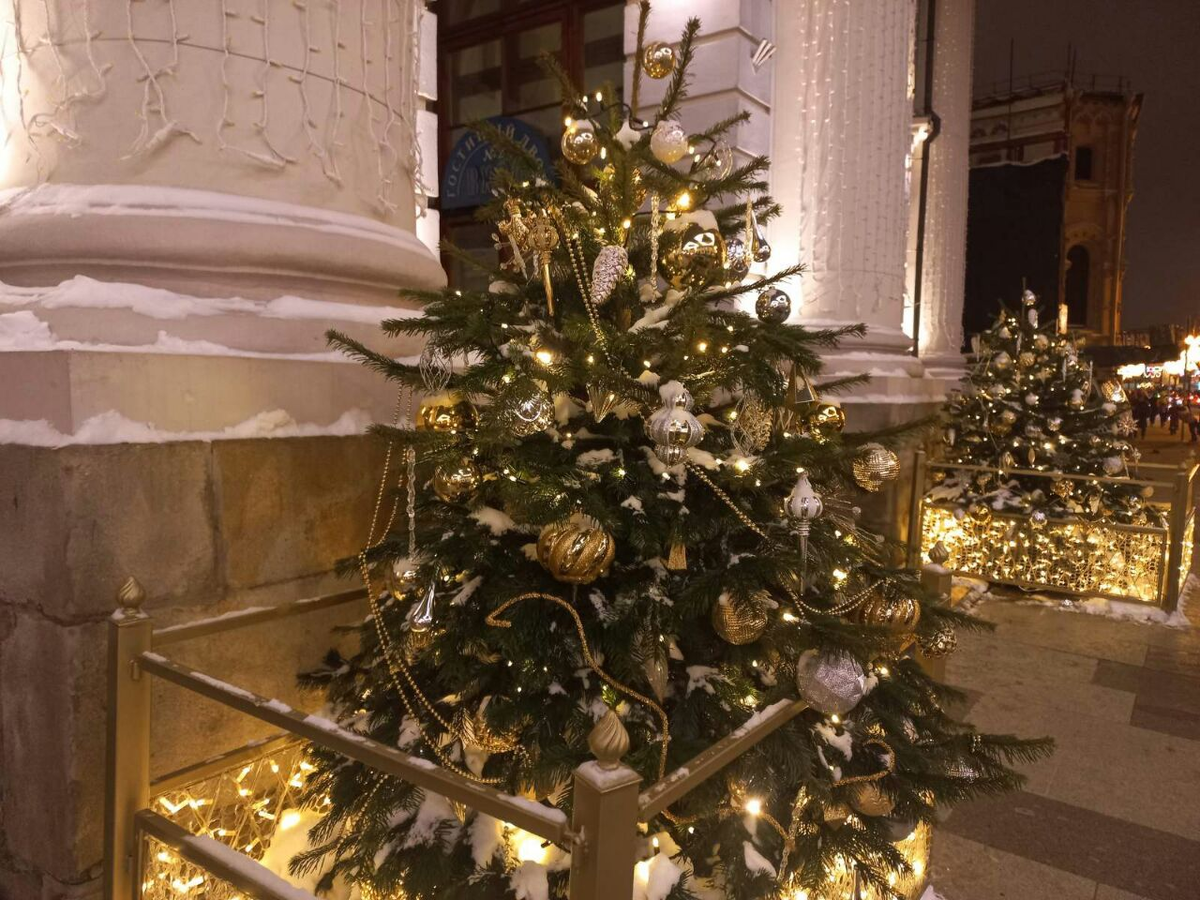 Фото автора.