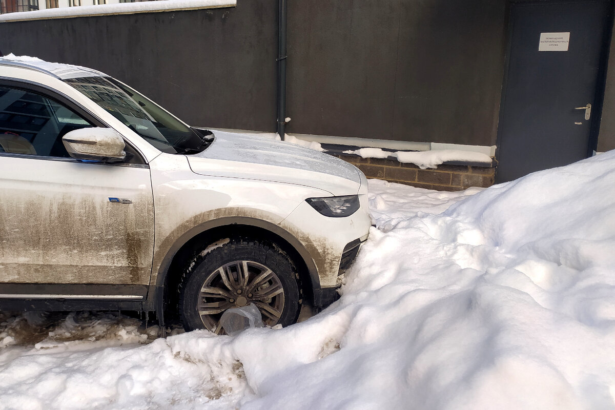 Фото: Максим Константинов/Globallookpress