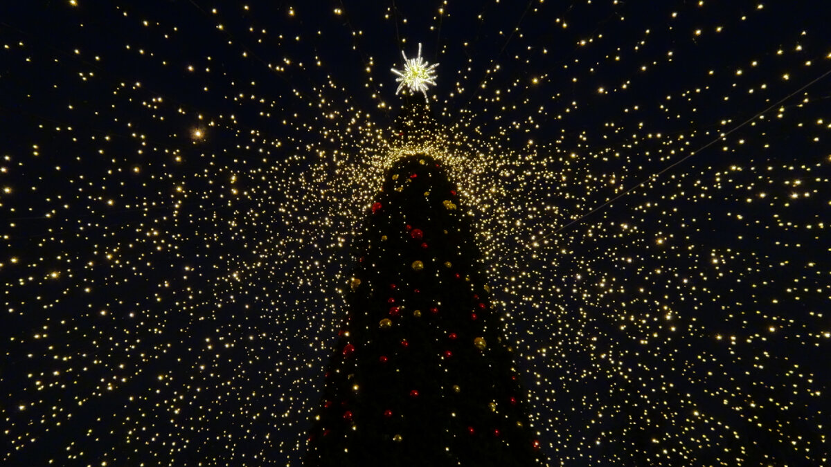 30 декабря 2023