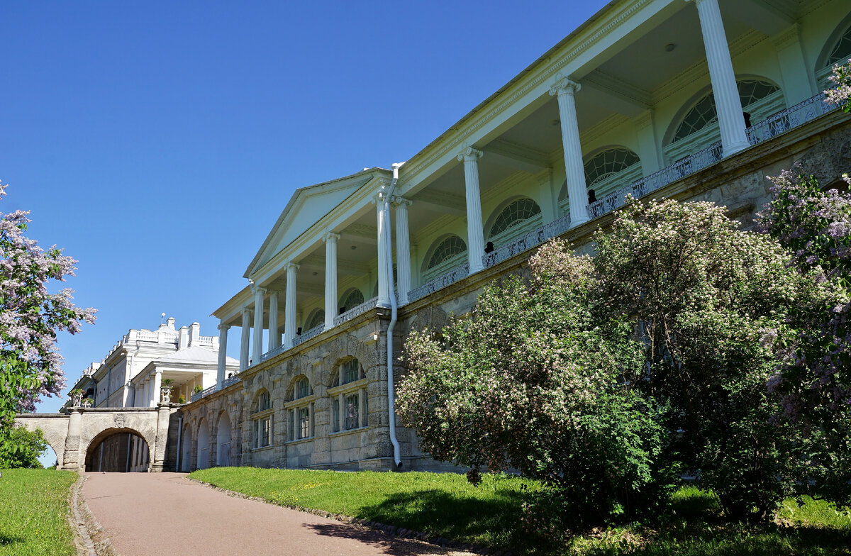 Дорожка к Пандусу Висячего сада мимо Камероновой галереи. Фото автора.