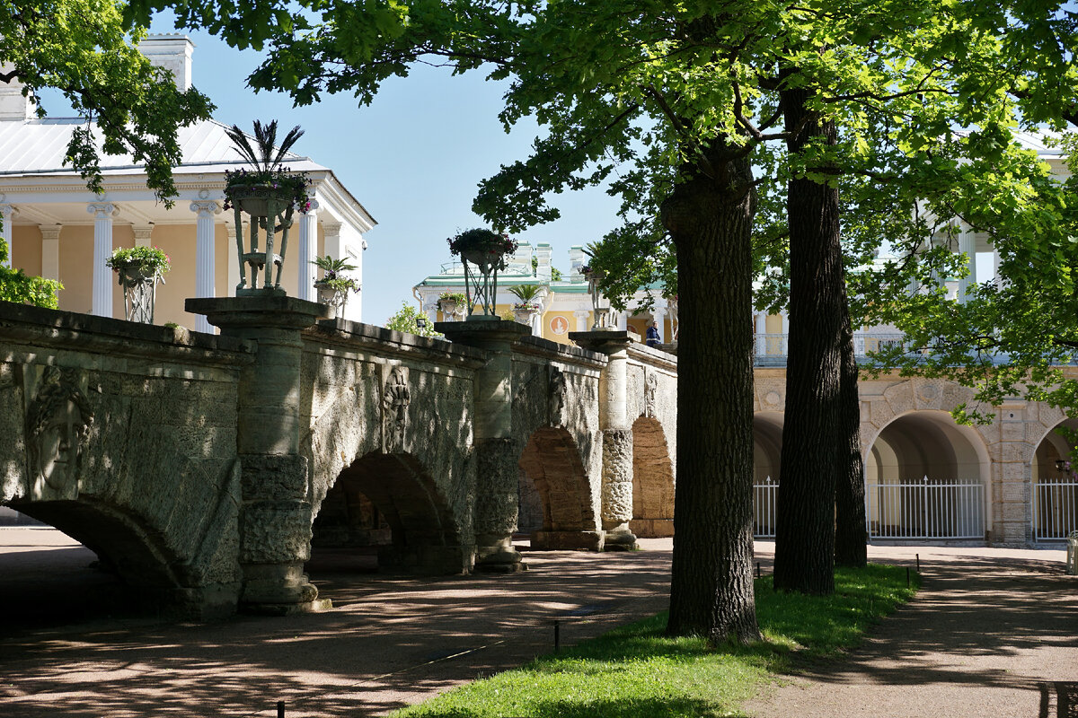 Купчино царское село