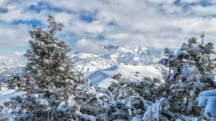 Вид на Большой Чимган. Фото Андрея Кудряшова/«Фергана»