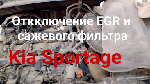 Чип тюнинг Kia Sportage дизель. Удаление сажевого фильтра и клапана EGR