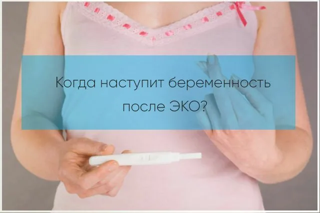 Когда делать тест на беременность после ЭКО?