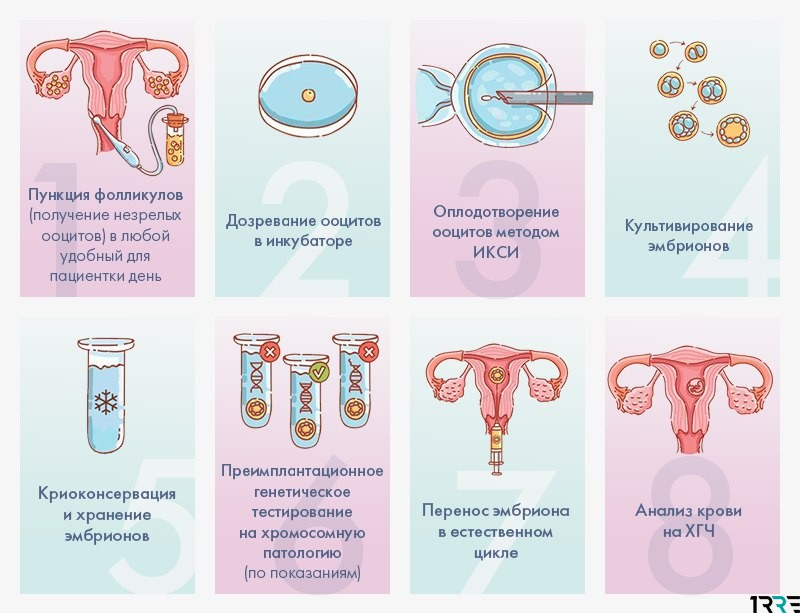 Когда можно беременеть после удаления