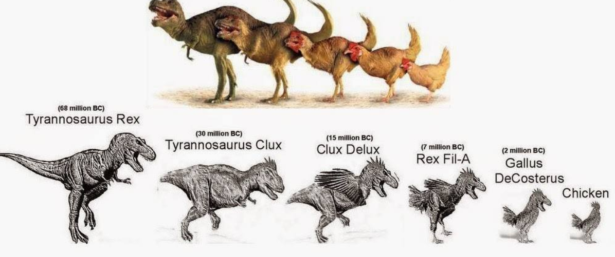Эволюция тираннозавра. Тиранозавр курица Эволюция. Эволюция тираннозавра Рекса. Курица произошла от динозавра. Ближайший родственник динозавра