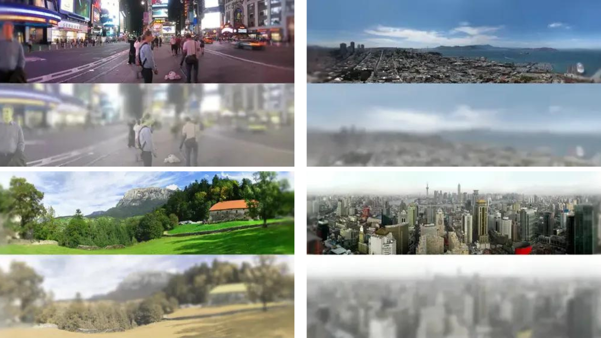 Городской пейзаж для кошек - сплошное серое пятно