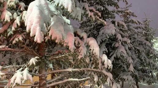 ВЛОГ одного ❄️ снежного ❄️ дня накануне Нового Года! 🎄