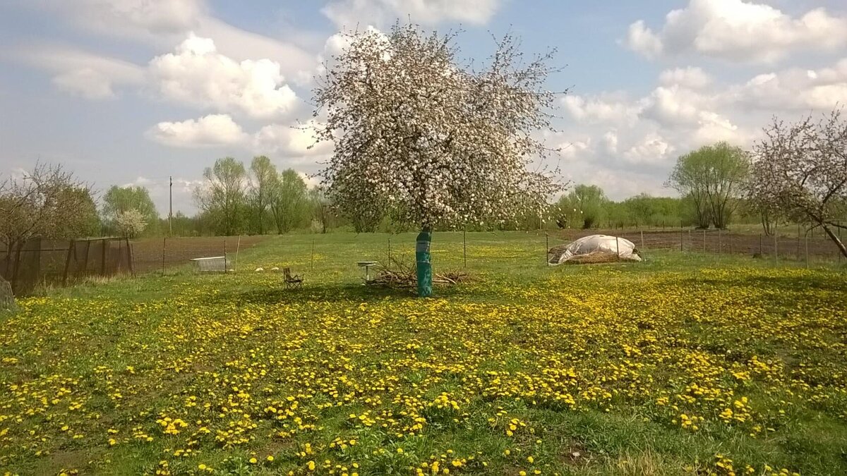 Вид из окна....) 