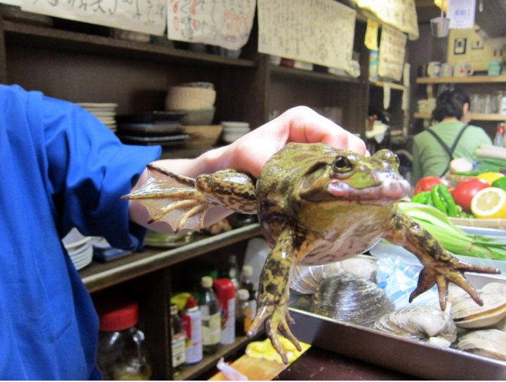 Вот какая большая и толстая милаха