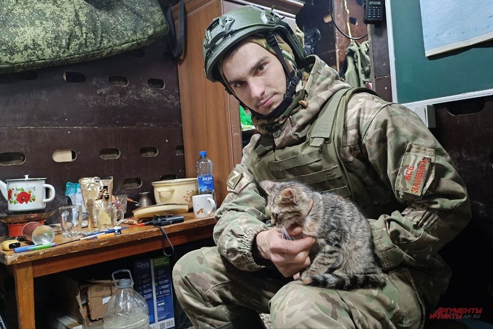 Мурчание «Пуль». Кошки на передовой поднимают настроение и берегут от ...