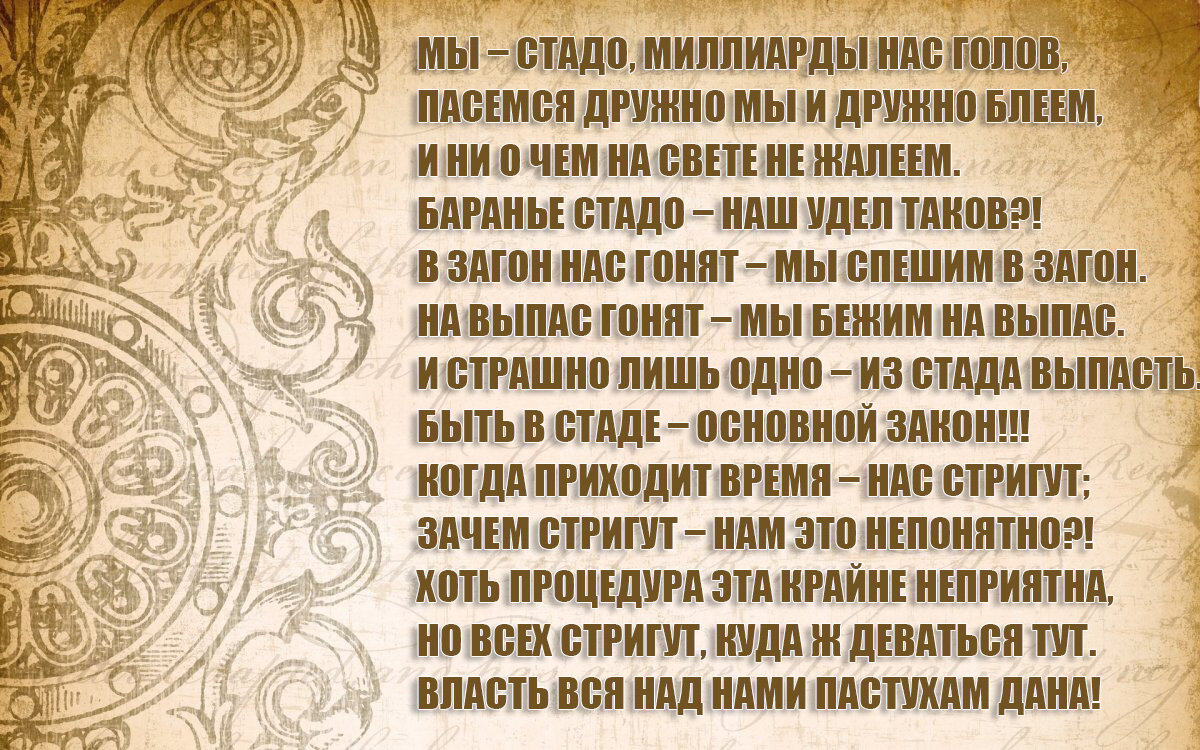 Аббат Бурэ - Стадо