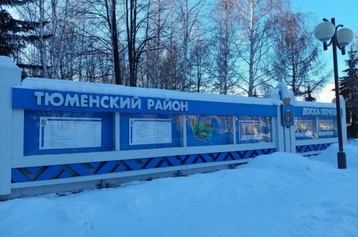    Тюменцы приурочили акцию «100 добрых дел» к вековому юбилею района