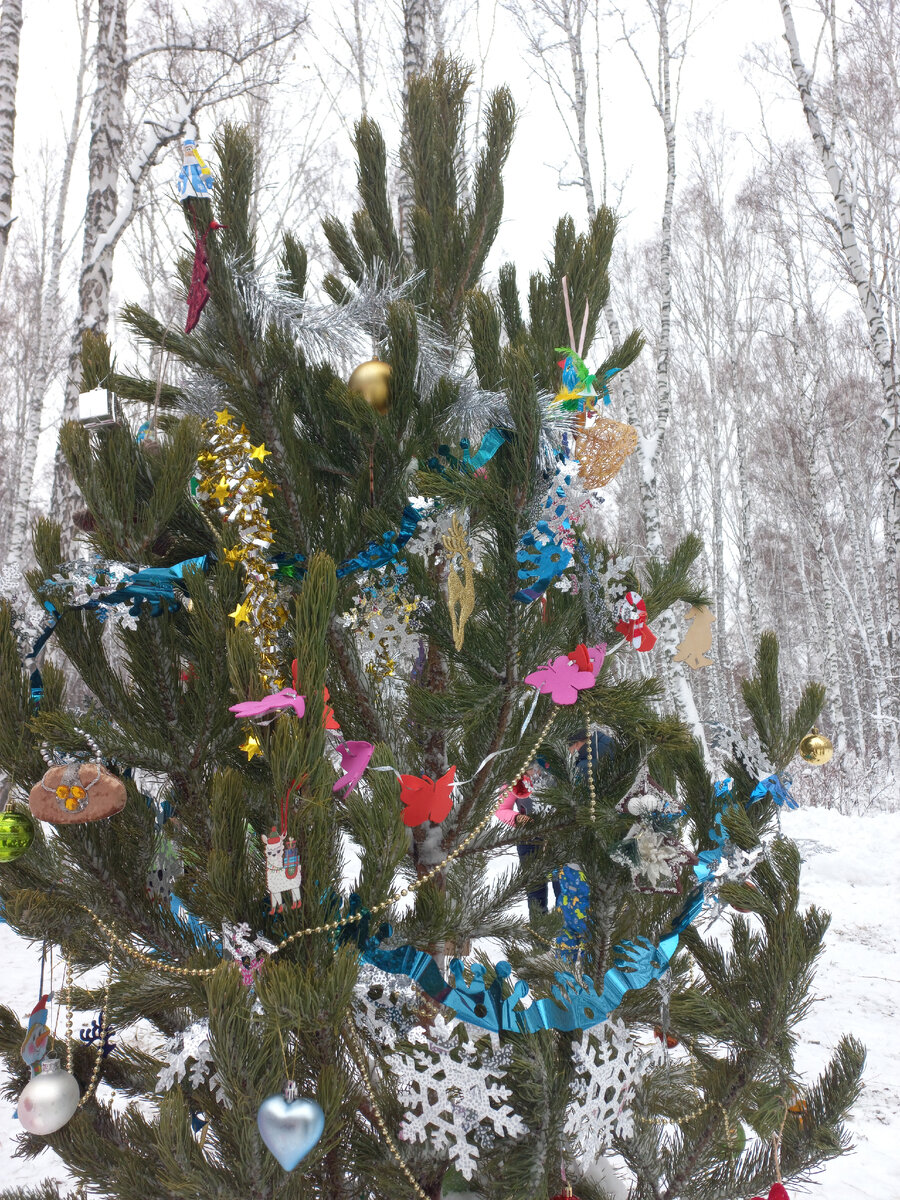 Лесная ёлочка