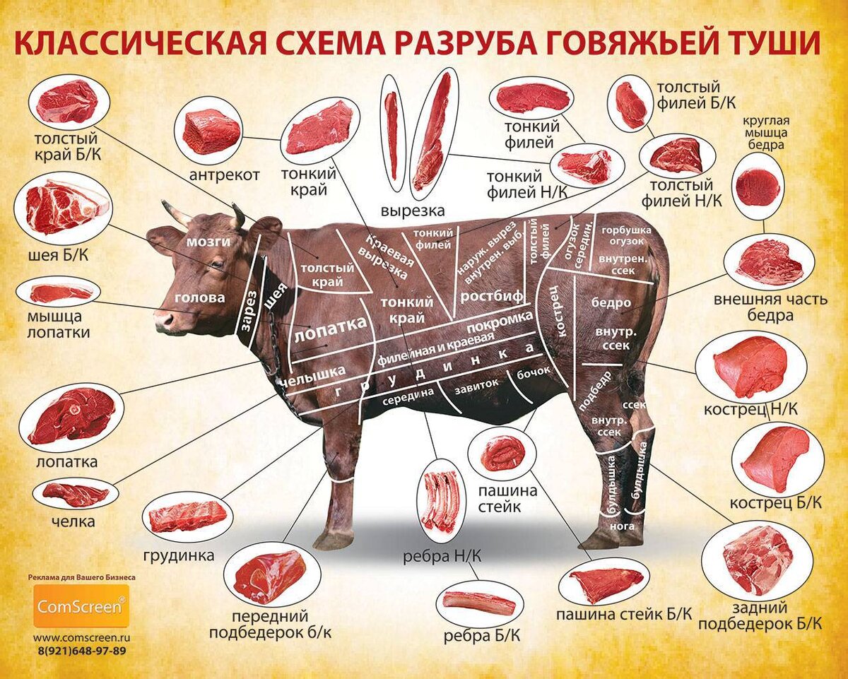 Телятина чье мясо. Классификация схема разруба говяжьей туши. Толстый край говядины схема разделки туши. Классическая схема разруба говяжьей туши. Говядина оковалок схема.