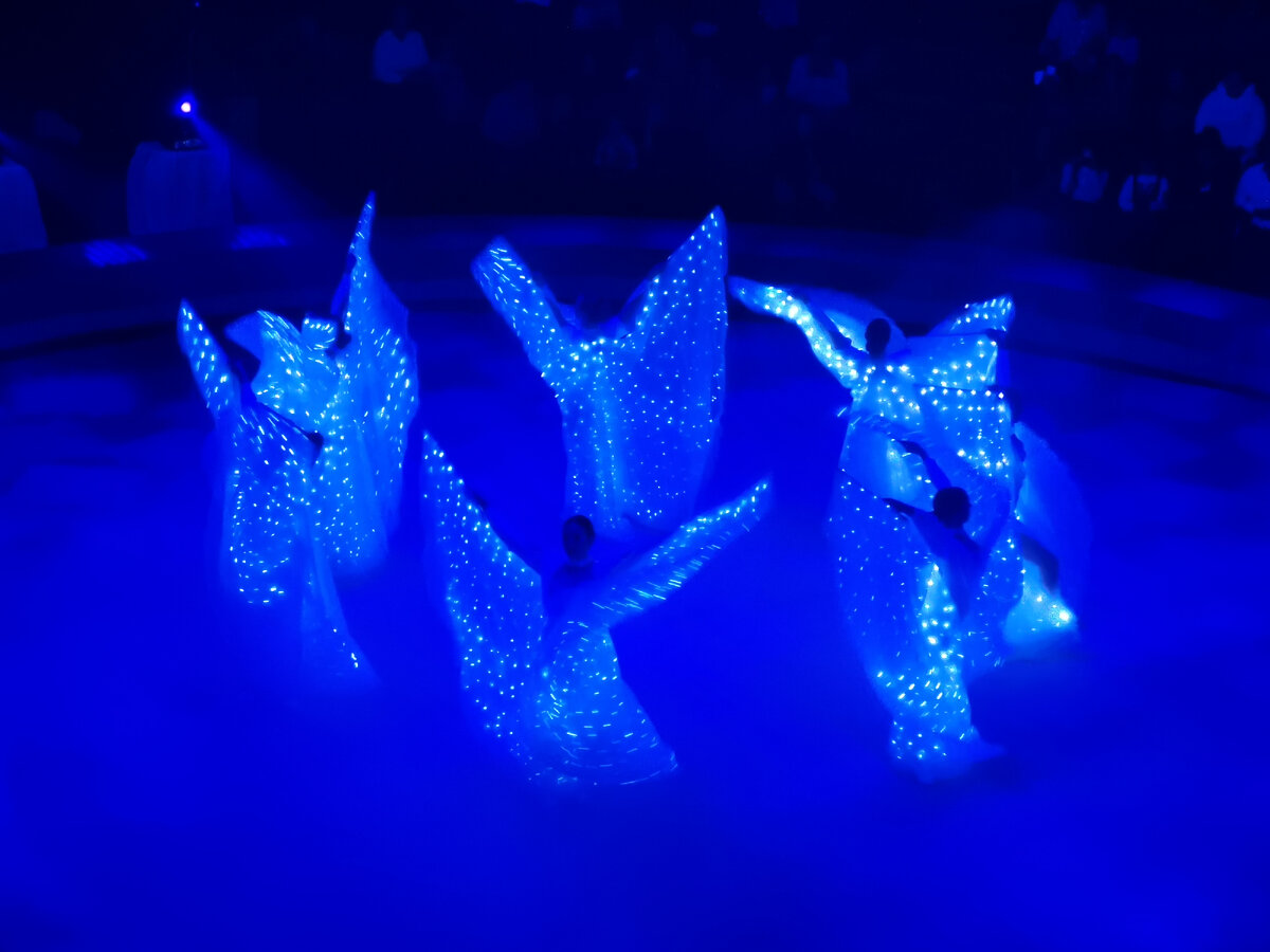 Фото автора канала