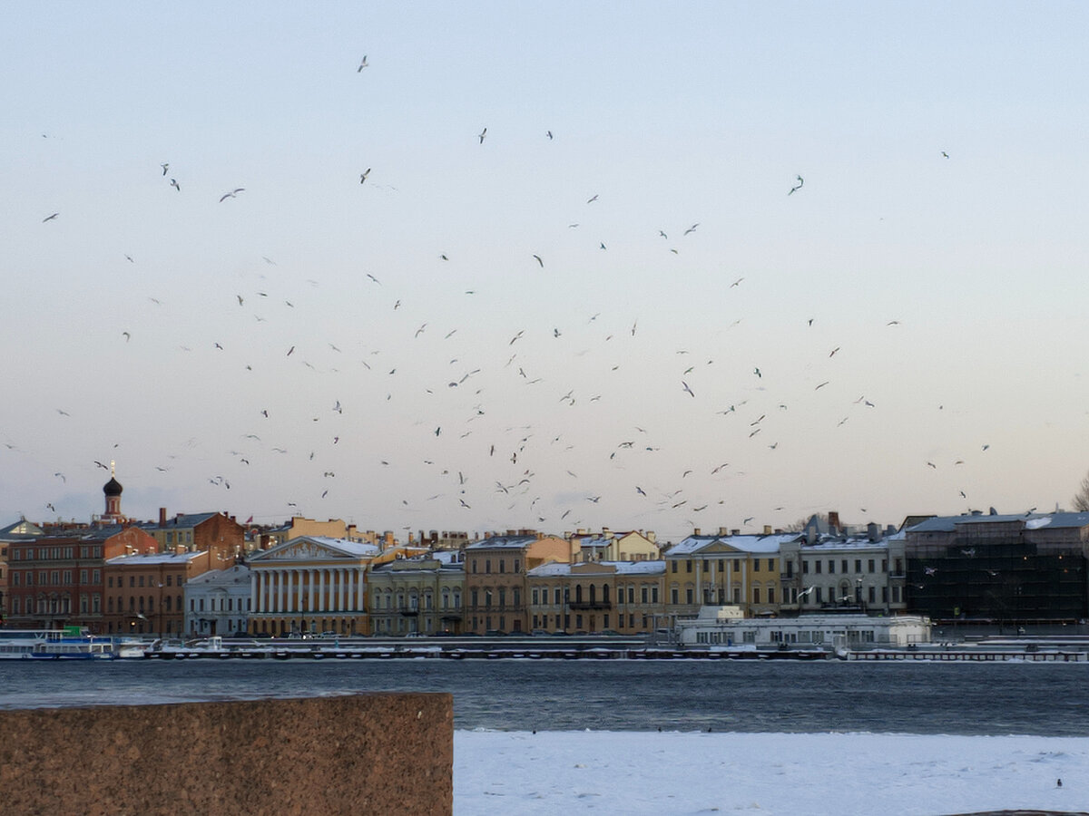 Петербург школьные каникулы