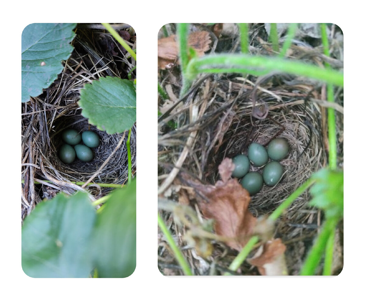 Ещё за один год фотографию не нашла, затерялась где -то.