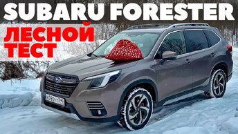 Subaru Forester 2024: по глубокому снегу точно вовремя