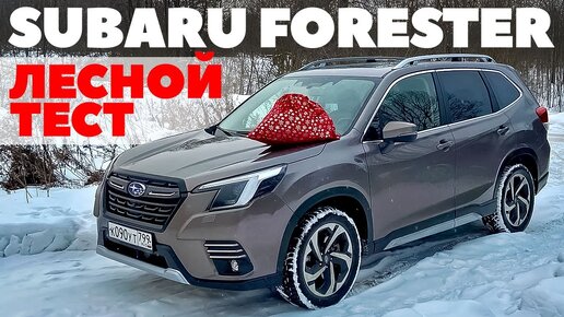 Subaru Forester 2024: по глубокому снегу точно вовремя