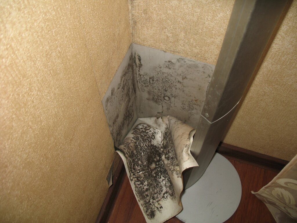 интернет говорит мы не одиноки - красиво снаружи