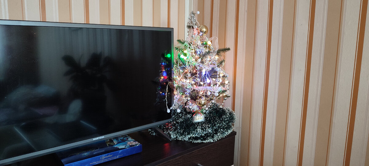 Спасибо китайцам что берегут наш лес и снабжают нас искусственными ёлками 🤭