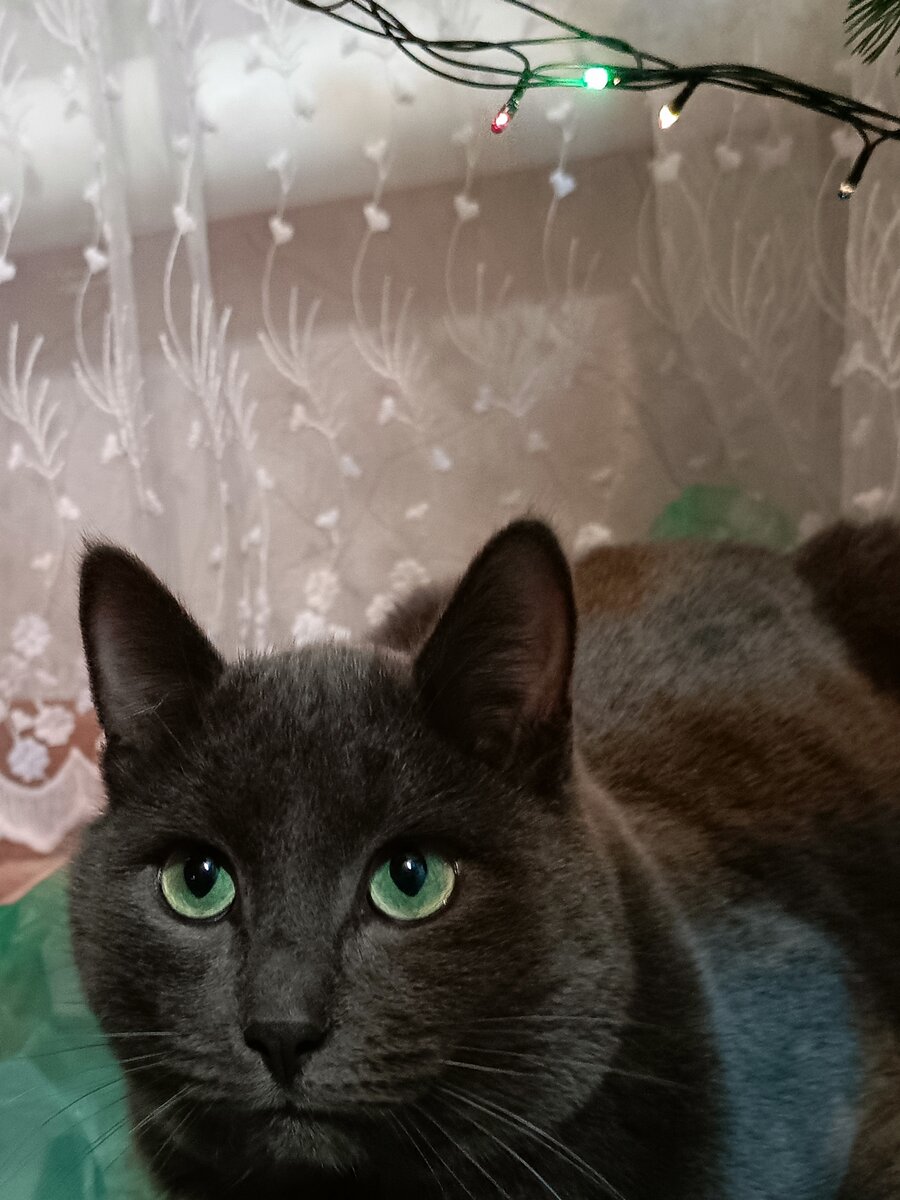 С наступающим!❤️❤️❤️