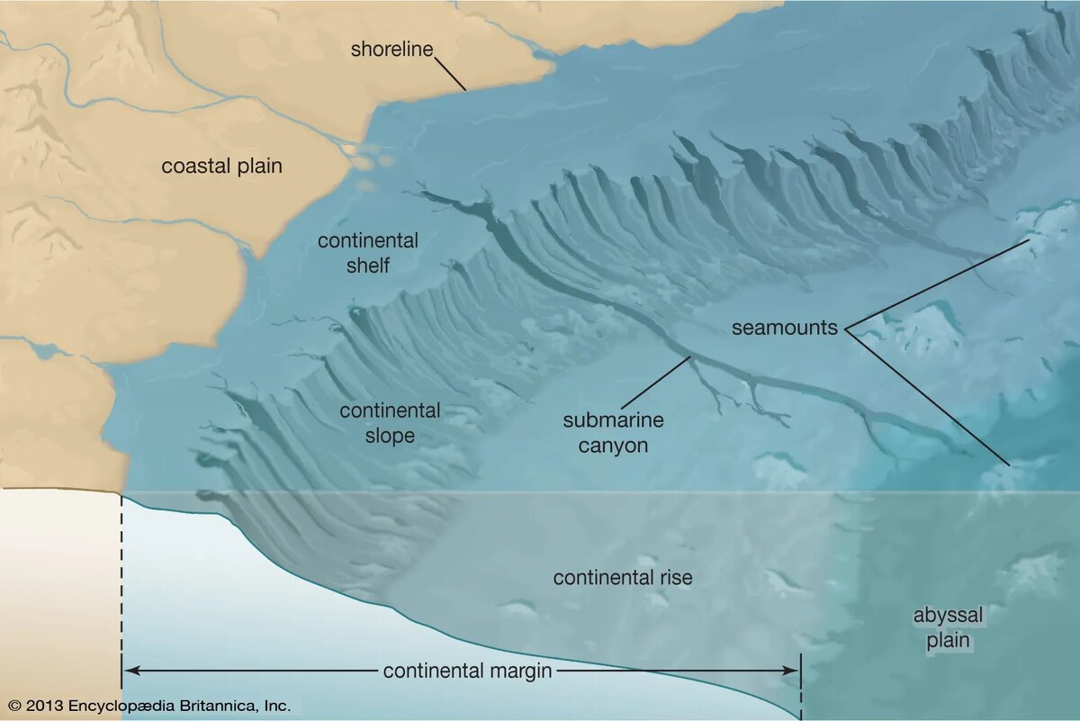 Части дна океана. Континентальный шельф континентальный склон. Континентальный шельф Геология. Шельф и материковый склон. Материковый склон Тихого океана.