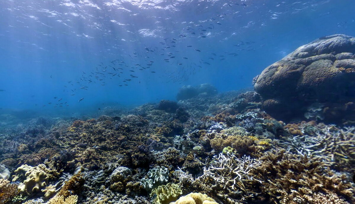 Карибское море под водой